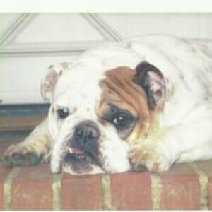 blackened1975 avatar