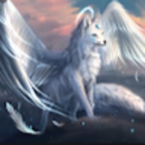 isabellaschierberl avatar