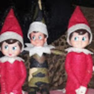 sebastianscharfe avatar