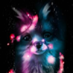 breannakarrick avatar