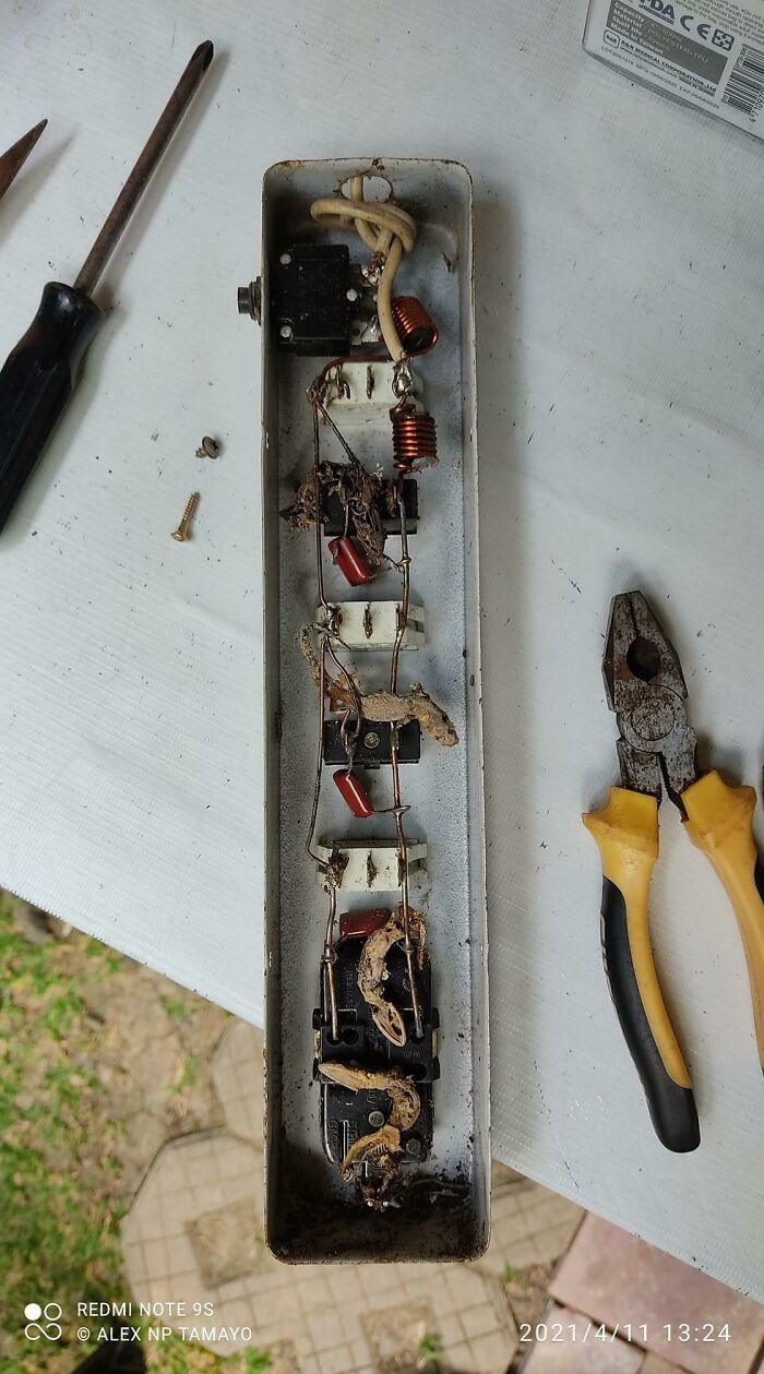 Apparently, This Particular Philippine Brand Of Power Strip With A Laminated Metal Casing Uses Stripped Wires In Between Outlets