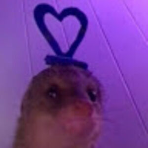 ambervandermallie-walker_1 avatar