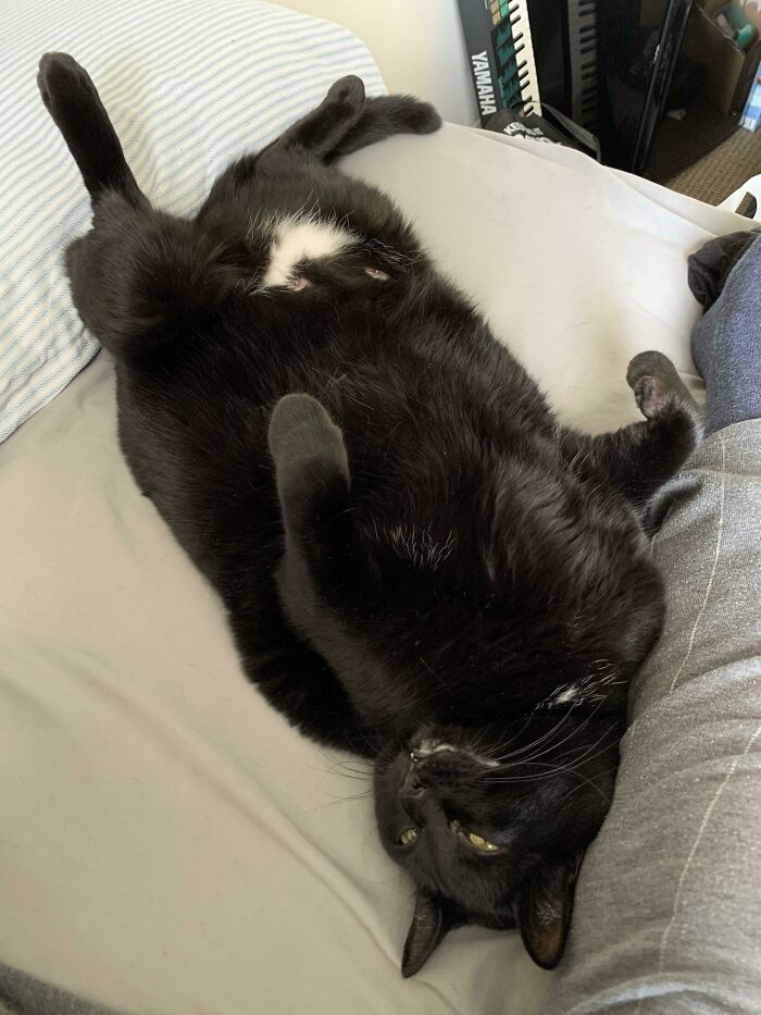 And Here’s A Hefty Dose Of My Gal Nosferatu (We Call Her Nosy)