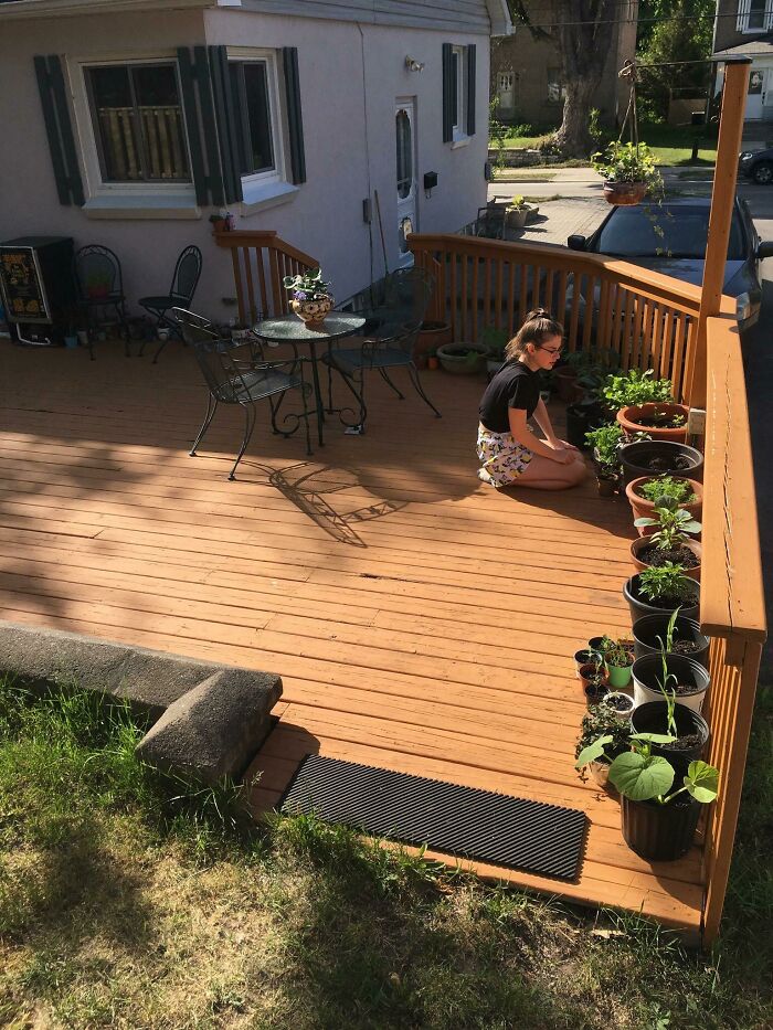 My Fiancé Doesn’t Have Enough Yard For A Proper Garden But She’s Made Do With Pots! She’s Real Proud Of All The Veggies And Succulents She Has Going
