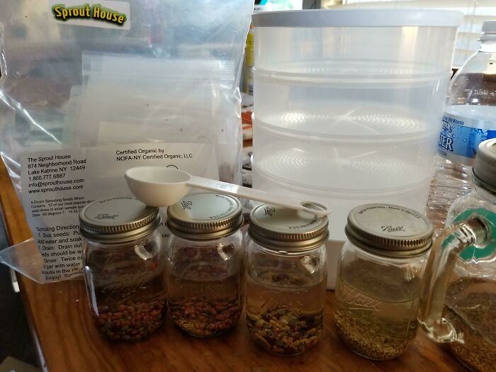 Soak Your Seeds In Warm Water Before Sowing
