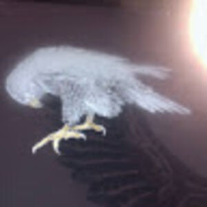 wanderingsoul avatar