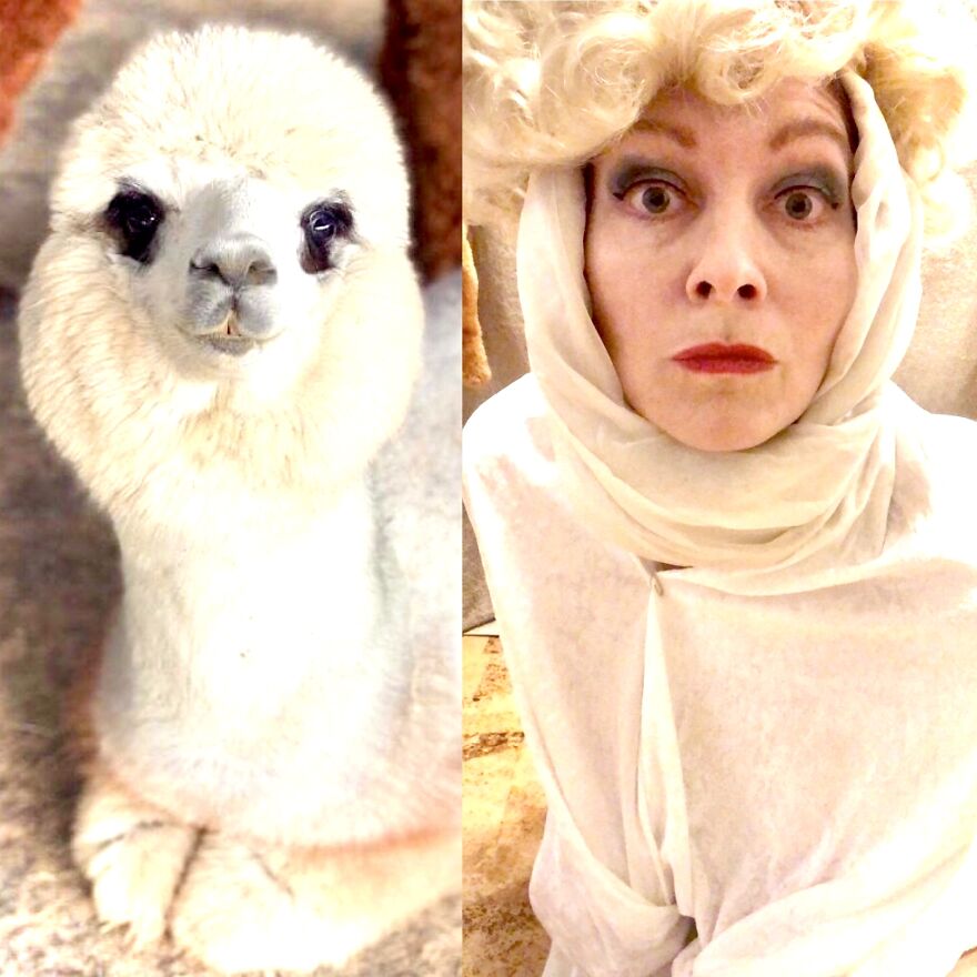 If You're Willing To Impersonate Imperfectly, You're Becoming Your Own Original, Here Are My 11 Photos