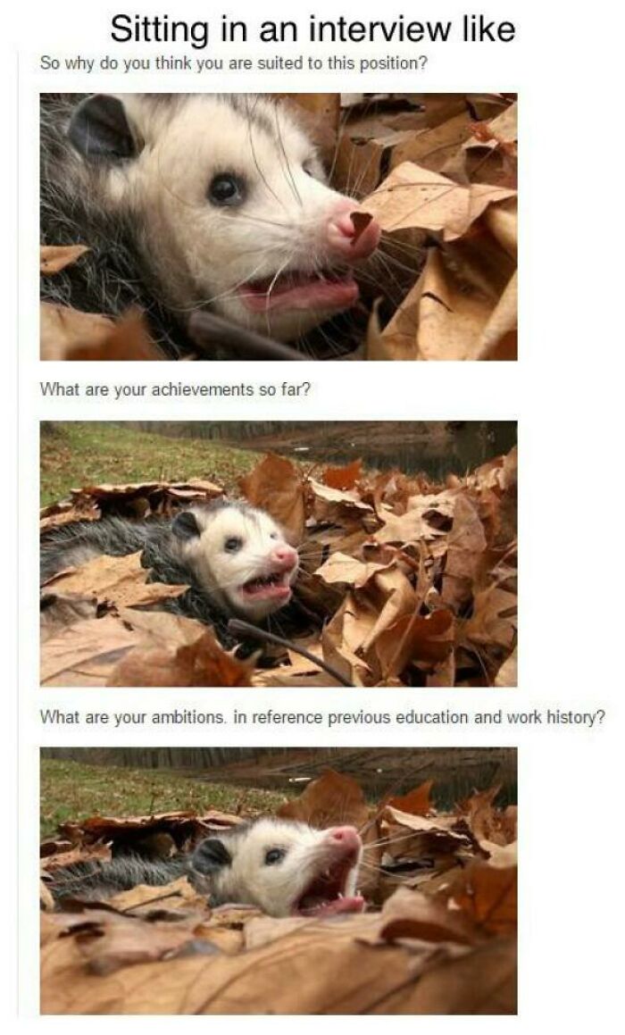 Applied For A Job Today. Went Well, I Think