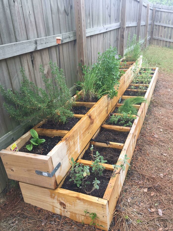 Herb Garden Is Back In Business