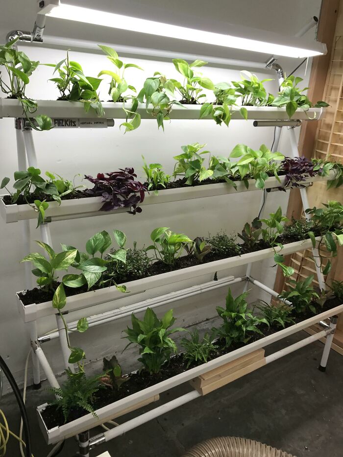 Working On A New Kind Of Vertical Garden