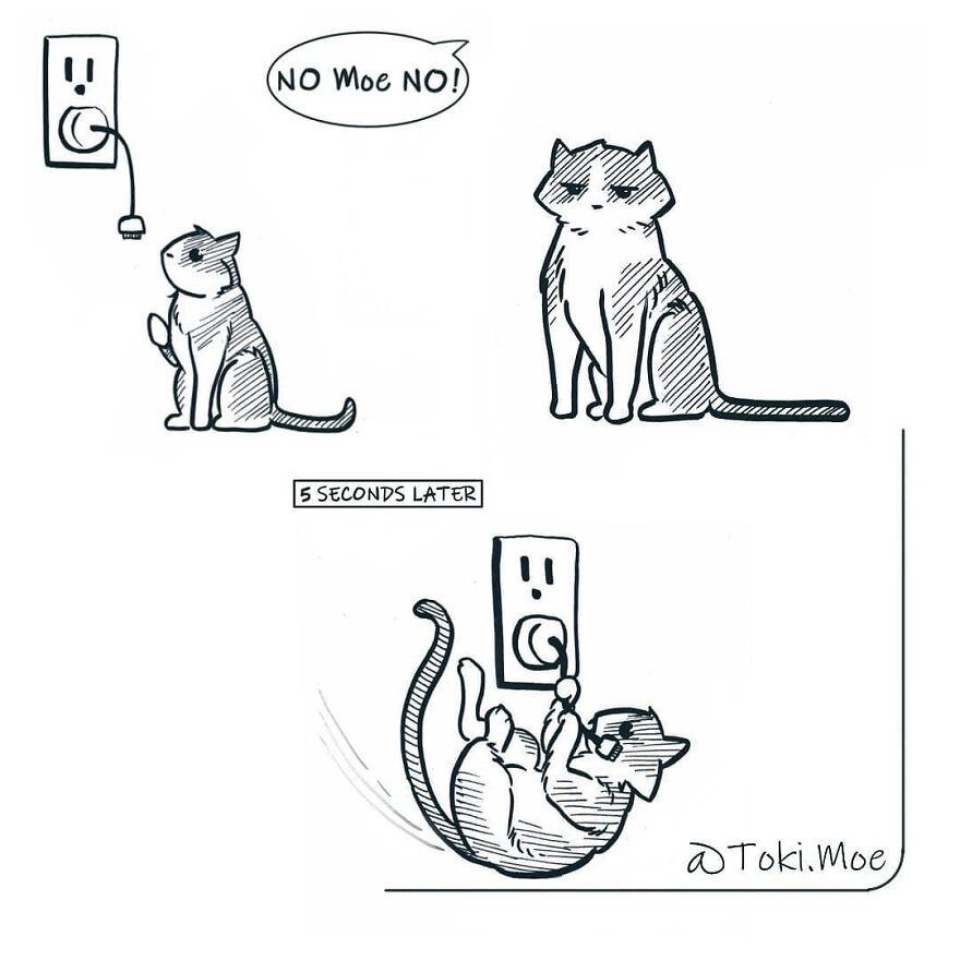 My 27 More Comics And 2 New Animations That Show What It’s Like To Live With A Cat And A Dog
