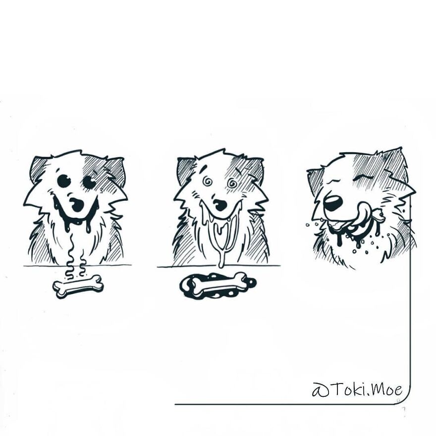 My 27 More Comics And 2 New Animations That Show What It’s Like To Live With A Cat And A Dog