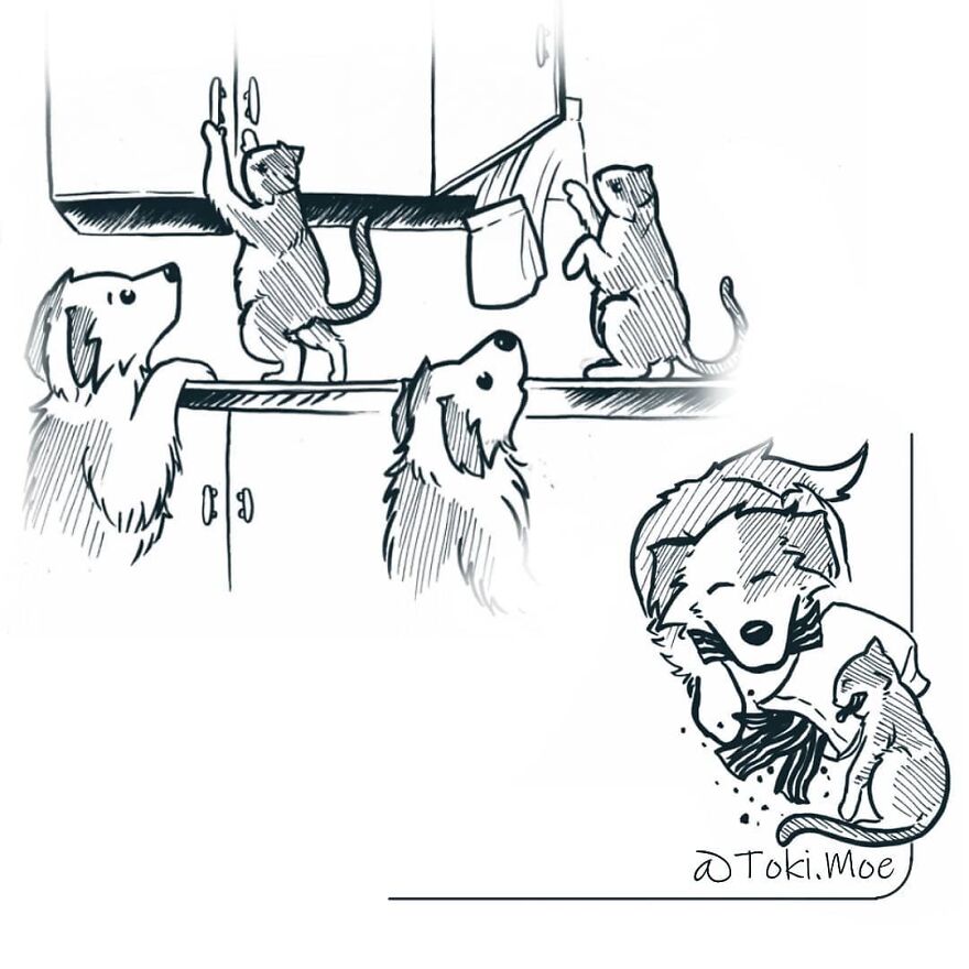My 27 More Comics And 2 New Animations That Show What It’s Like To Live With A Cat And A Dog