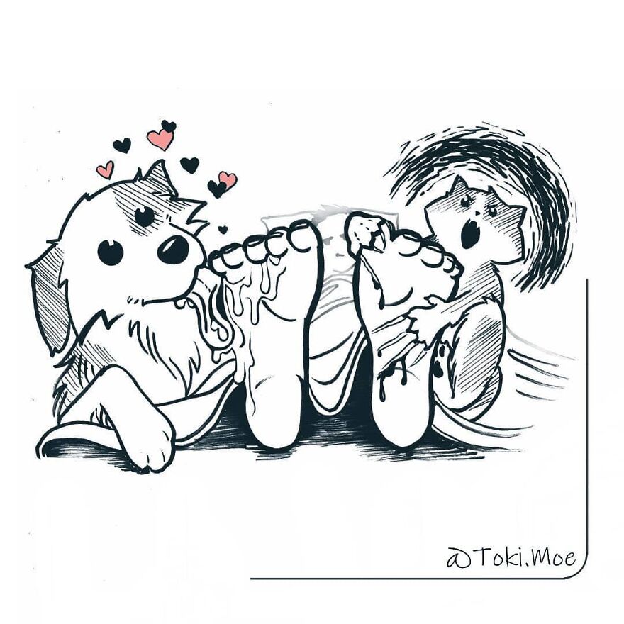 My 27 More Comics And 2 New Animations That Show What It’s Like To Live With A Cat And A Dog