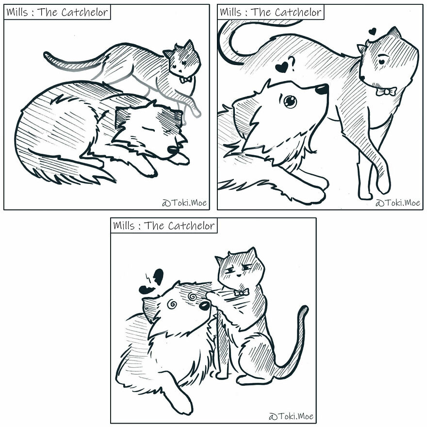 My 27 More Comics And 2 New Animations That Show What It’s Like To Live With A Cat And A Dog