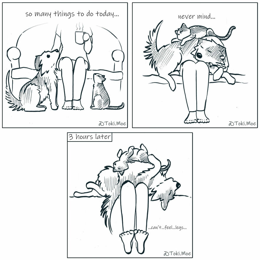 My 27 More Comics And 2 New Animations That Show What It’s Like To Live With A Cat And A Dog