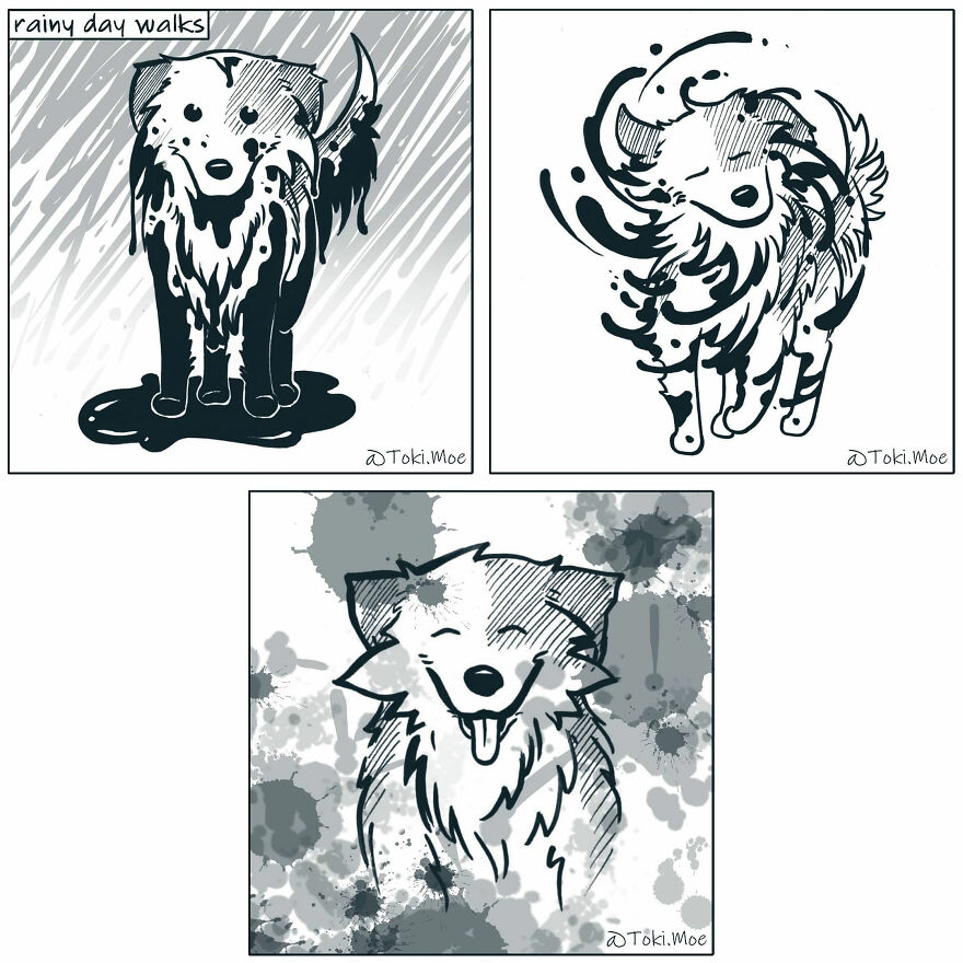 My 27 More Comics And 2 New Animations That Show What It’s Like To Live With A Cat And A Dog