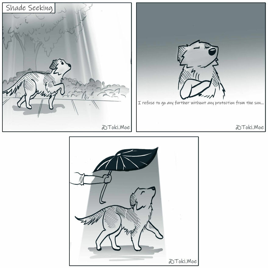 My 27 More Comics And 2 New Animations That Show What It’s Like To Live With A Cat And A Dog