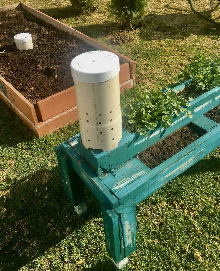 Make A Motel Of Ill Repute For Little Red Wigglers By Recycling A Container The ‘Right Size,’ ‘Drilling Holes,’ And ‘Burying It.’ Your Plants And Vegetables Will Literally ‘Explode’ In Your Garden