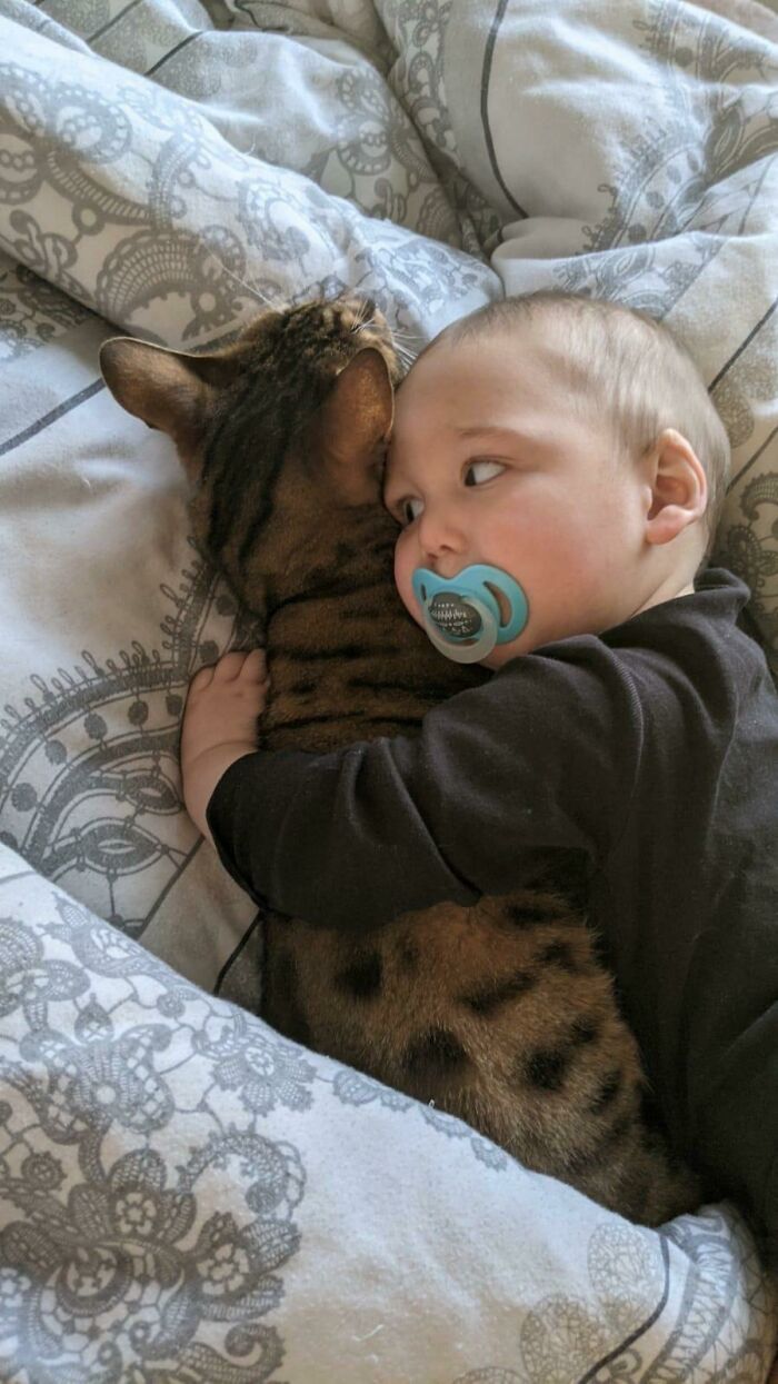 The Most Patient Cat...