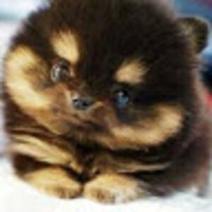 audreyisidoro avatar