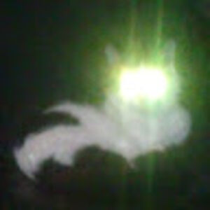 rachelwalters_1 avatar