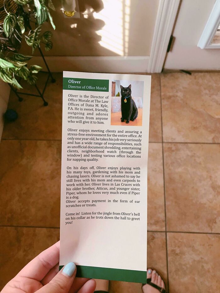 Office Brochures Came In Today