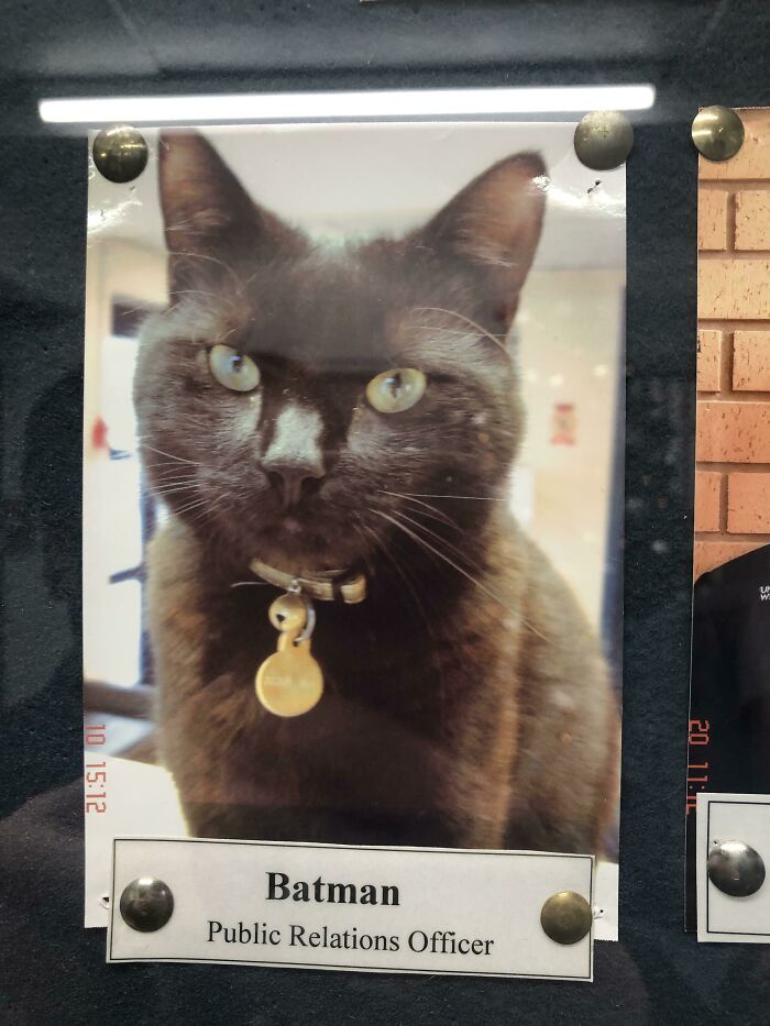 The Public Relations Officer At My University Campus