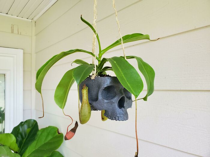 Used The 3D Printer And Some Textured Spray Paint For A More Fitting Pot