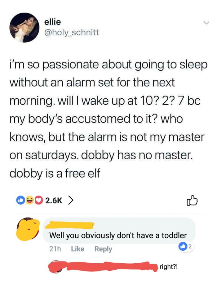 No Thanks, I Like Being A Free Elf