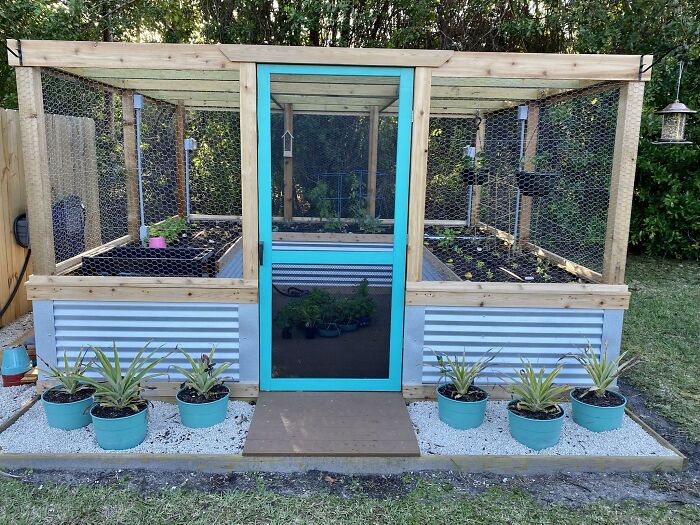 Our Raised And Fully Enclosed DIY Vegetable Garden Built By My Incredibly Talented Husband