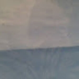 sebastionoconnor avatar