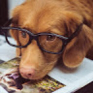 genevievemengason avatar