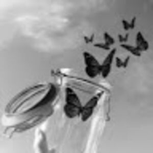 aprilpeterson_1 avatar