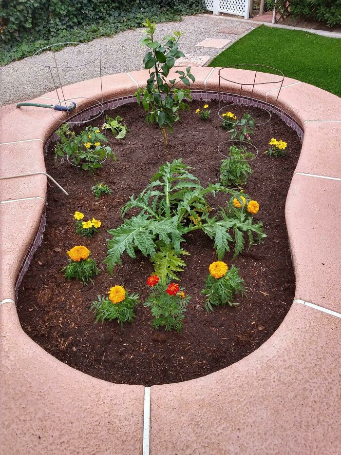 My Dad Turned My Grandma’s Jacuzzi Into A Small Garden
