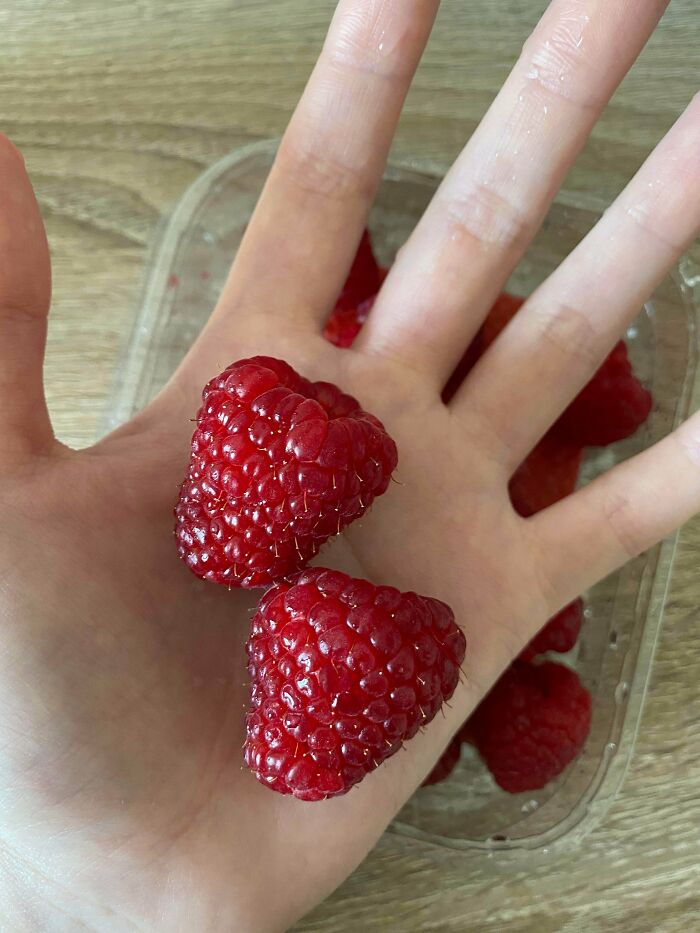 Absolute Unit Raspberries