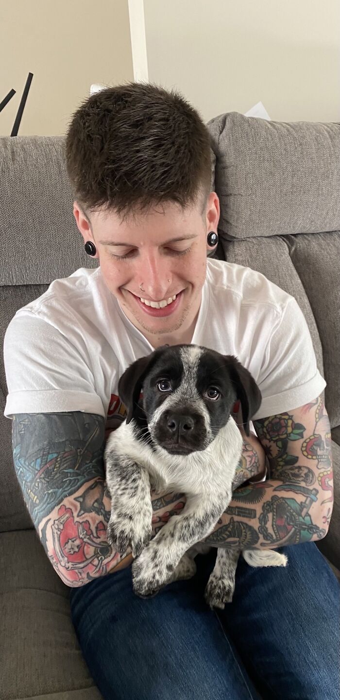 Adopted My First Puppy Yesterday, Good Morning From Alphie!