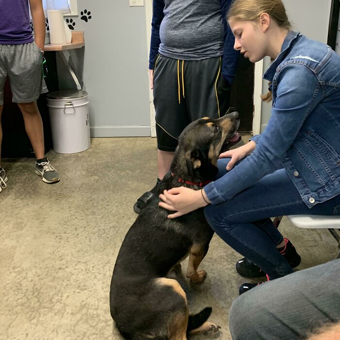 Adoption Day For The King Of Hearts