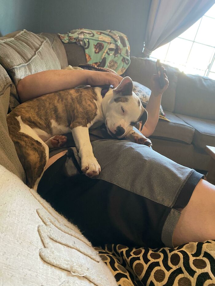 Our Sweet Girl Ruby. Adopted Her A Little Over A Week Ago And She’s Fitting Right In!