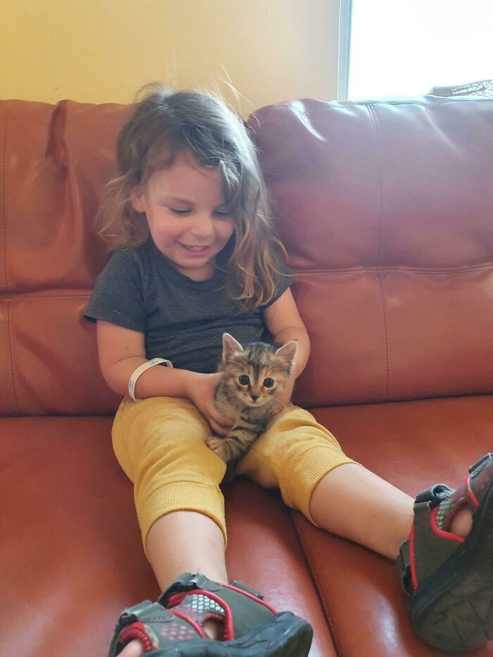 We Adopted A 7 Week Old Kitty Today. This Is The First Pic With My Son