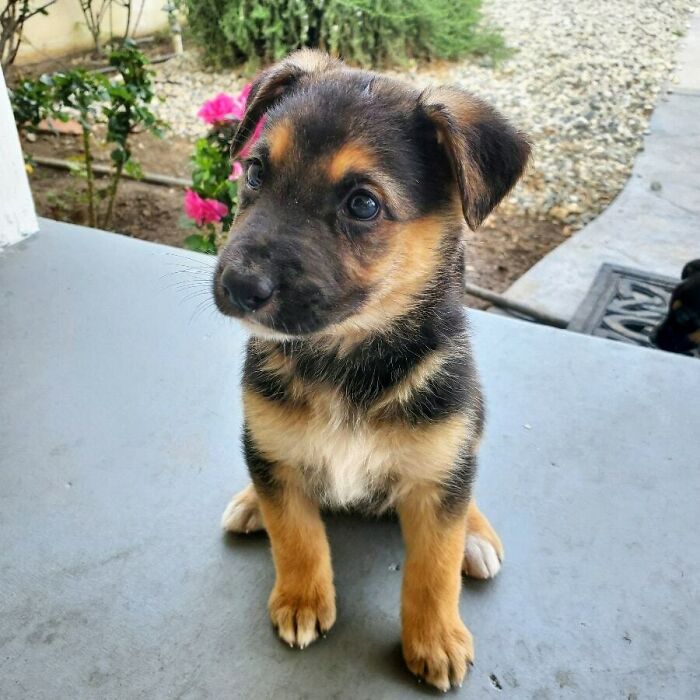 This Babe Just Got Adopted!