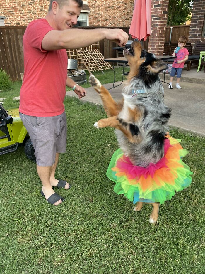 When I Adopted Rumi It Didn’t Take Long To Realize I Had Adopted My Spirit Animal. He’s The Bestest Boy