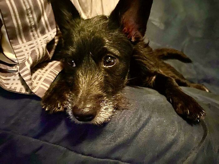 The Adoption Agency Gave Her The Name Donna And It Was Too Weird Not To Keep