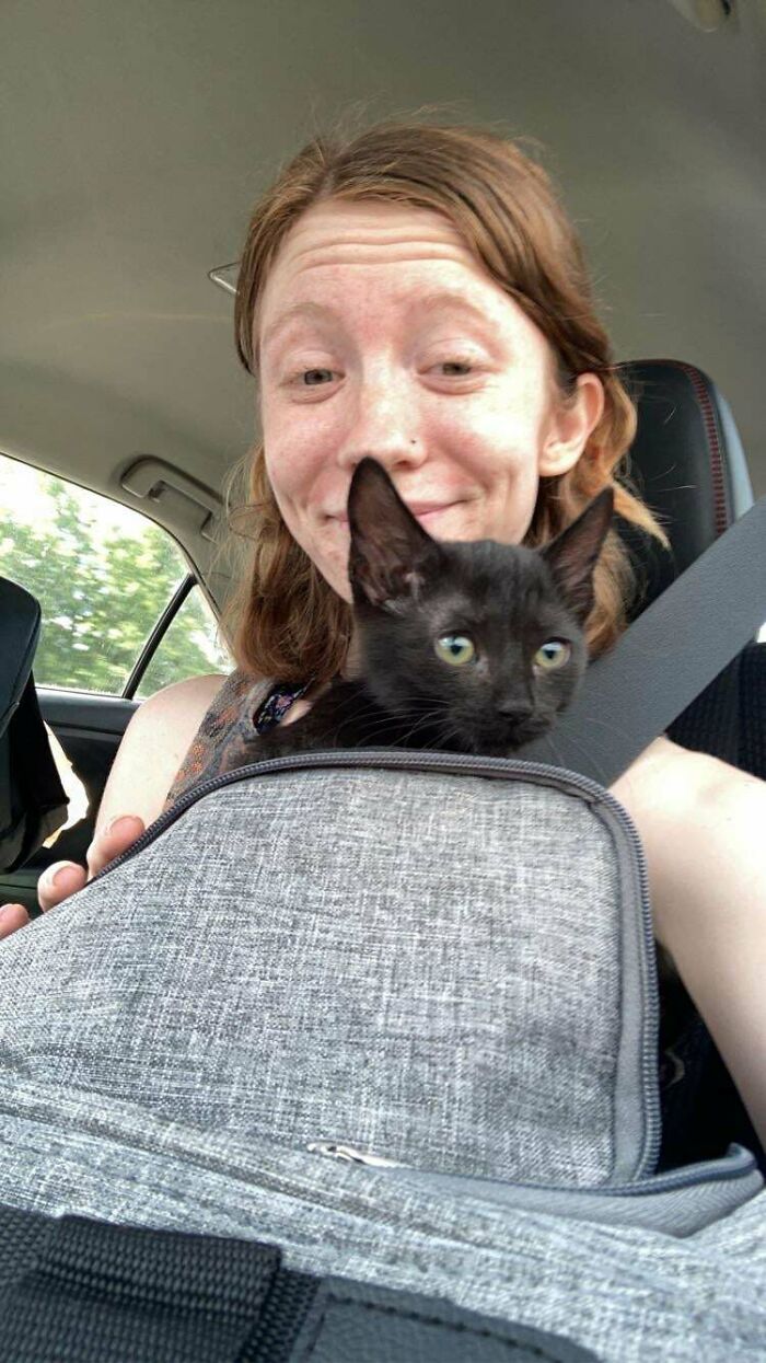 Just Recently Expanded Our Family! Little Girl Was Up For Free Adoption After Being Rescued From An Animal Hoarders Home. My Sweet Redditors, Meet Mavis!