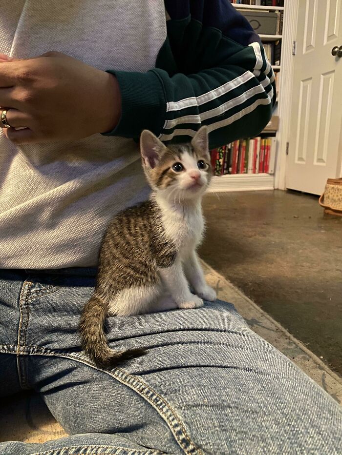 I’m Adopting This Little Guy Soon!