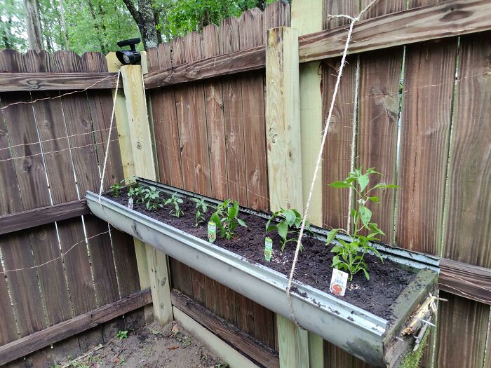 My Solution To Being Broke And Needing My Plants Out Of The Dog's Reach