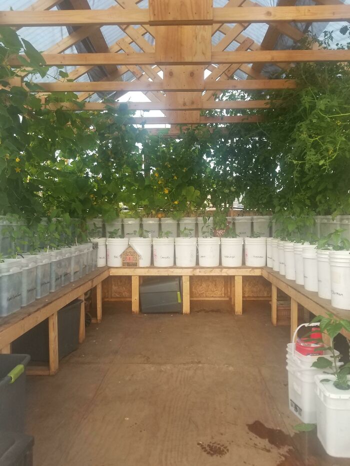 My Greenhouse! Excited To Get My Greenhouse Going This Year