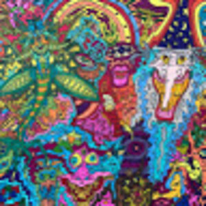 novahogfeldttaylor avatar