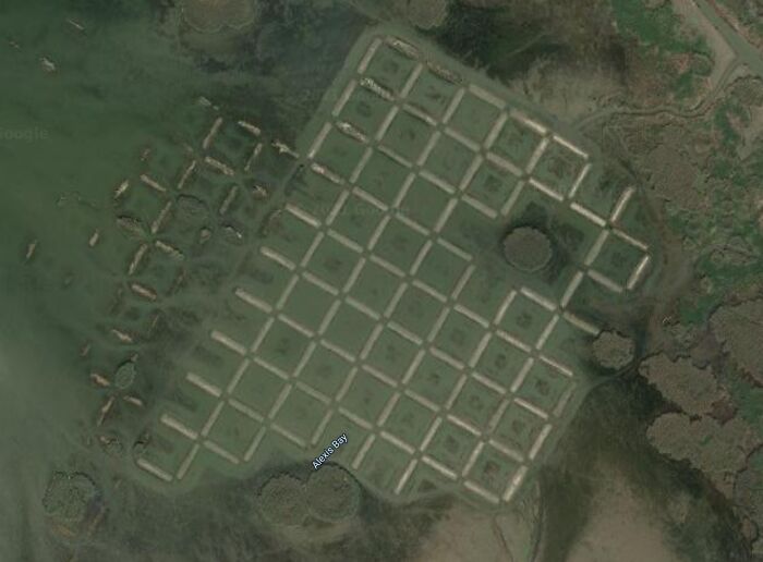 Odd Formation In Louisiana Coast - 29.323196471225256, -89.33106000180526