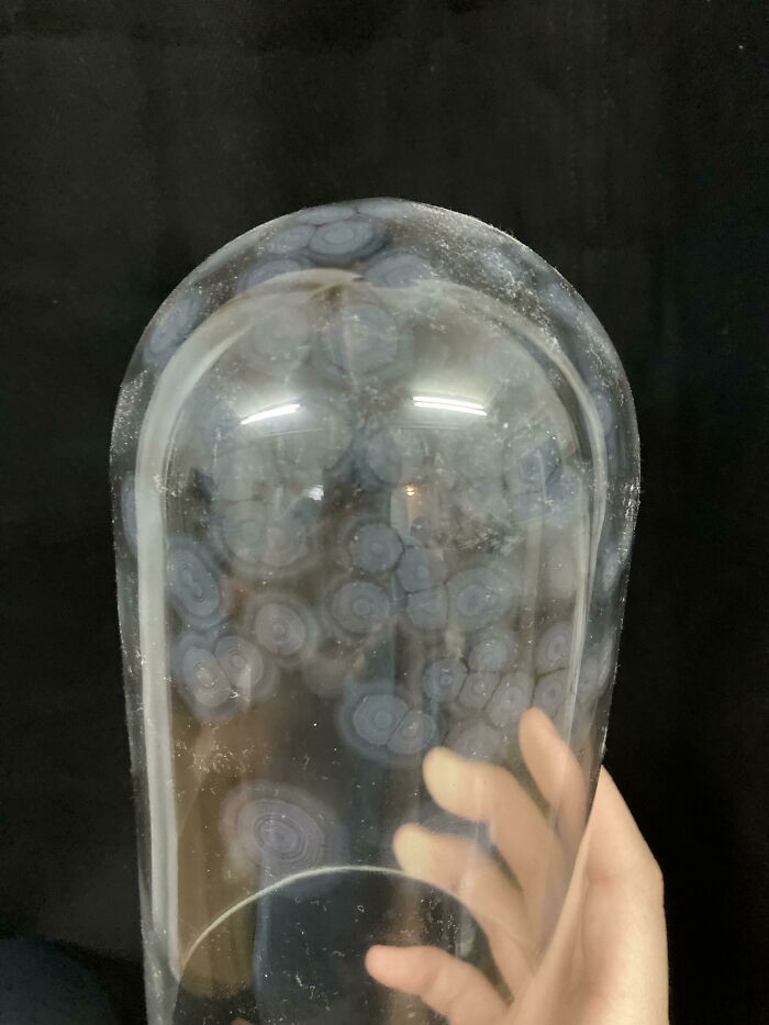 What Has Made These Funny Markings On My Housemate’s Candle Cover? She Has Never Lit The Candle, But It Sits On Her Windowsill In The Sunlight!